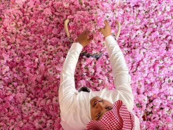 Pročitajte više o članku Grad ruža Saudijske Arabije cvjeta u ramazanu