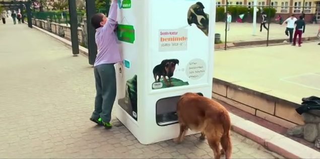 Pročitajte više o članku Automat za recikliranje: Ubaci plastičnu bocu i nahranih pse i mačke lutalice
