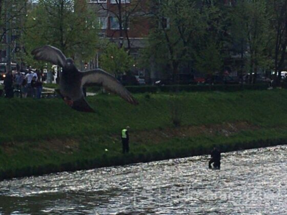 Pročitajte više o članku Muškarac u Sarajevu skočio s mosta, policajci ga izvukli iz rijeke
