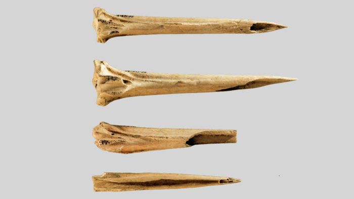 Pročitajte više o članku Najstariji poznati alati za tetoviranje pronađeni na drevnom nalazištu u Tennesseeju