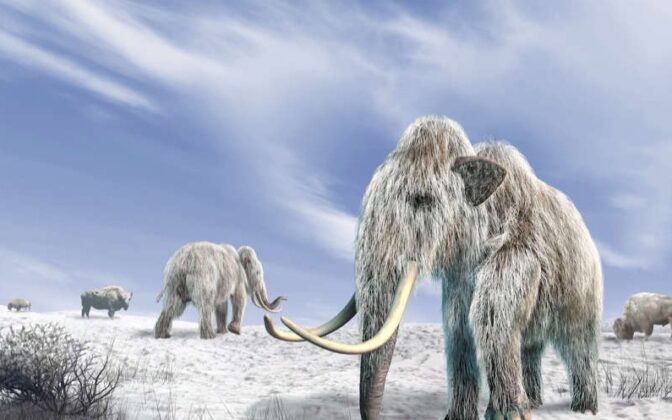Pročitajte više o članku Zamrznuti u vremenu: 5 prahitorijskih bića pronađeno zarobljeno u ledu