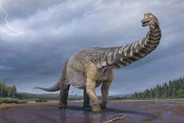 Pročitajte više o članku U Australiji pronađen primjerak nove vrste najvećeg dinosaura