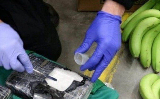 Pročitajte više o članku U prodavnici u Pločama među bananama pronađeno 18 kilograma kokaina