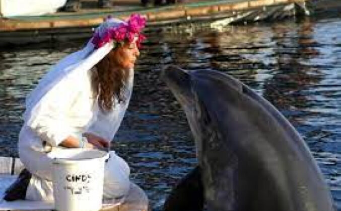 Pročitajte više o članku Milionerka u žalosti: Udala se za delfina, pa postala udovica