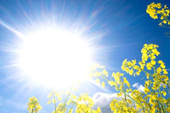 Pročitajte više o članku Sunčano uz malu do umjerenu oblačnost, temperatura između 31 i 37 stepeni