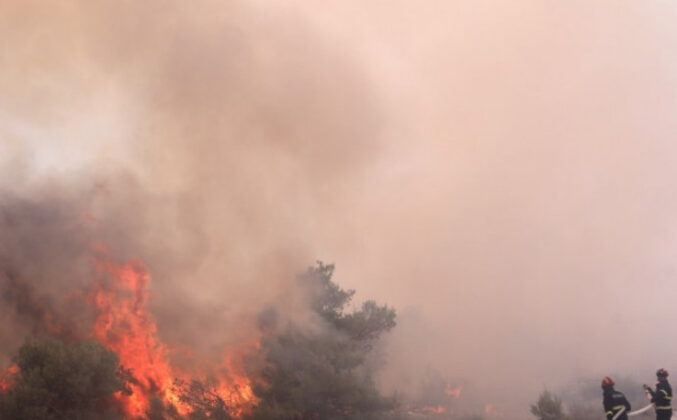 Požar kod Stoca i dalje aktivan: Vatru gase i mještani