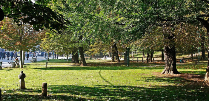 Pročitajte više o članku “Veliki park” u Sarajevu najveća je zelena površina u centru grada (VIDEO)
