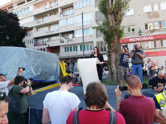 Pročitajte više o članku Protesti “Pravda za Dženana i Davida” u Sarajevu 11. septembra