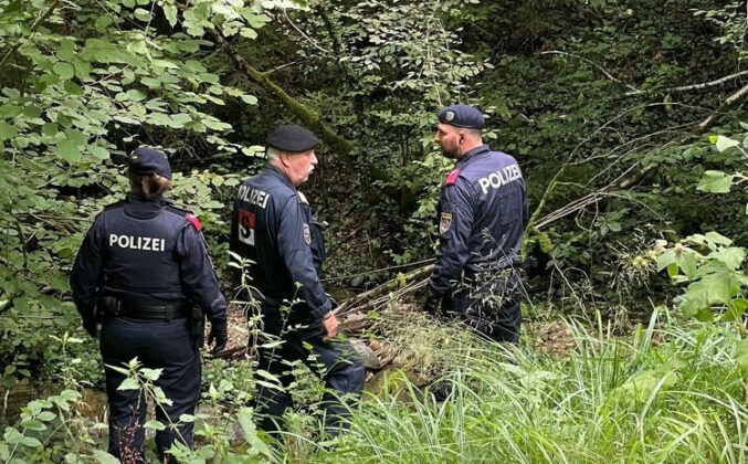 Stravični detalji zločina u Austriji: Bosanku je bivši muž izbo šrafcigerom i ostavio u šumi