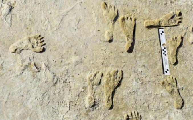 Pročitajte više o članku Senzacionalno otkriće: Otisci stopala stari 23.000 godina