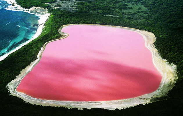 Pročitajte više o članku Ružičasto jezero Hillier privlači pažnju turista – Komadić raja