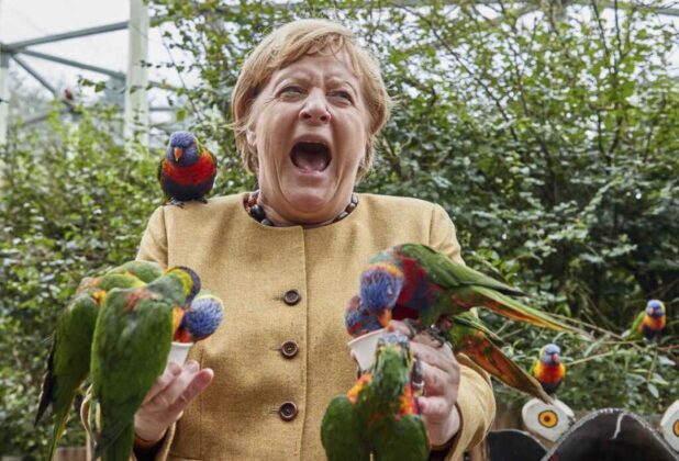 Pročitajte više o članku Angelu Merkel ujeo papagaj: Fotografija obišla svijet