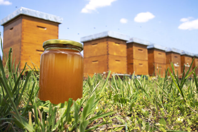 Pročitajte više o članku “Lažni med”: Pčelari upozoravaju kako prepoznati lažirane proizvode