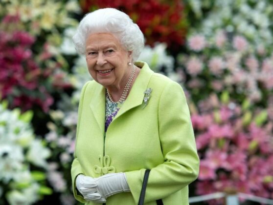 Pročitajte više o članku Zašto kraljica Elizabeta odustaje od obaveza?