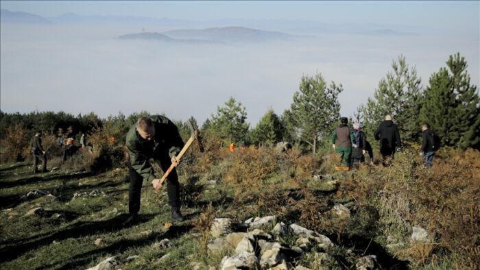 Pročitajte više o članku U Kantonu Sarajevo počela velika akcija pošumljavanja: Plan zasaditi pola miliona sadnica