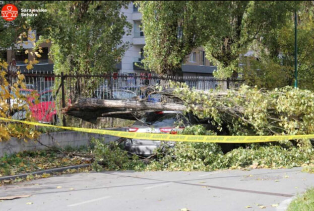 Pročitajte više o članku Vjetar obarao stabla u Sarajevu, na parkingu Doma zdravlja Otoka stablo uništilo auto