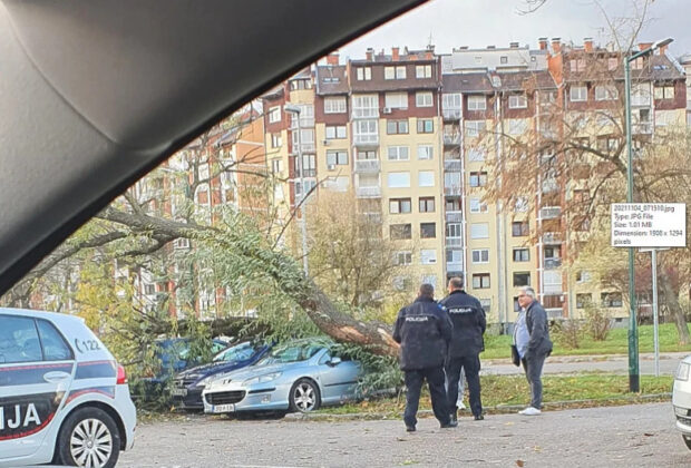 Pročitajte više o članku Sarajevo: Snažan vjetar srušio brojna stabla i nanio brojnu štetu