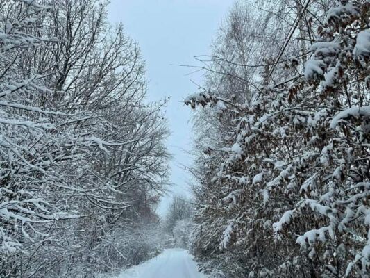 Prognoza: Temperature u BiH tokom vikenda iznad nule