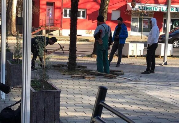 Pročitajte više o članku Vjerovali ili ne: Pokušao prodati gradsku palmu u Mostaru na Olx-u za 400 KM