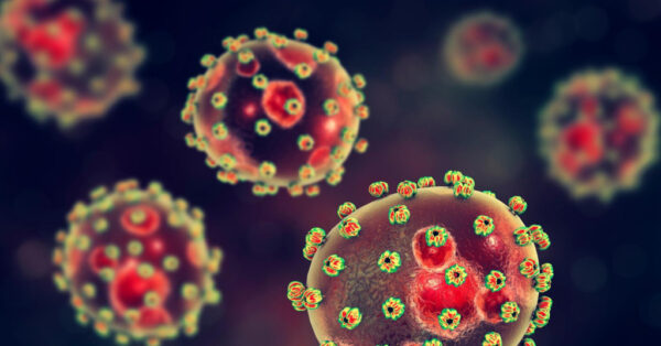 Pročitajte više o članku U Velikoj Britaniji umrla osoba zaražena Lassa-virusom: ‘Ljudi imaju mučnine, povraćaju, krvare…‘