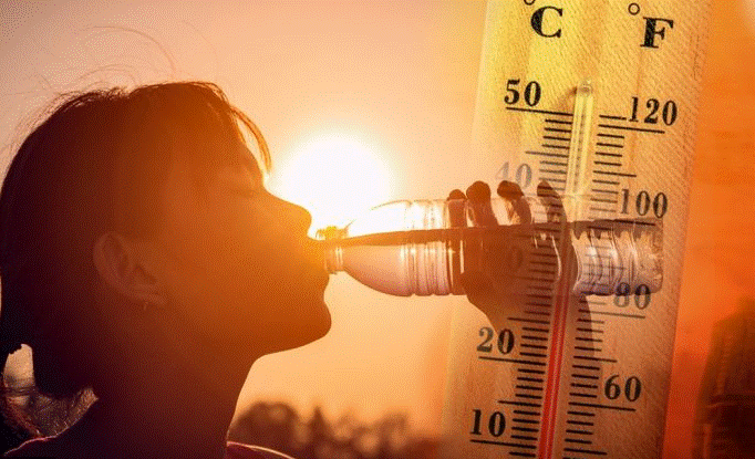 Pročitajte više o članku Španija: Više od 1.000 ljudi umrlo od vrućina