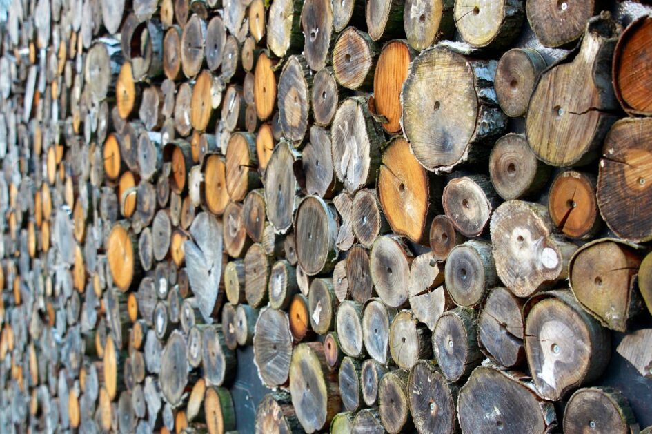 Pročitajte više o članku CIJENE SU OTIŠLE U NEBO Paleta drva dostiže 200 eura
