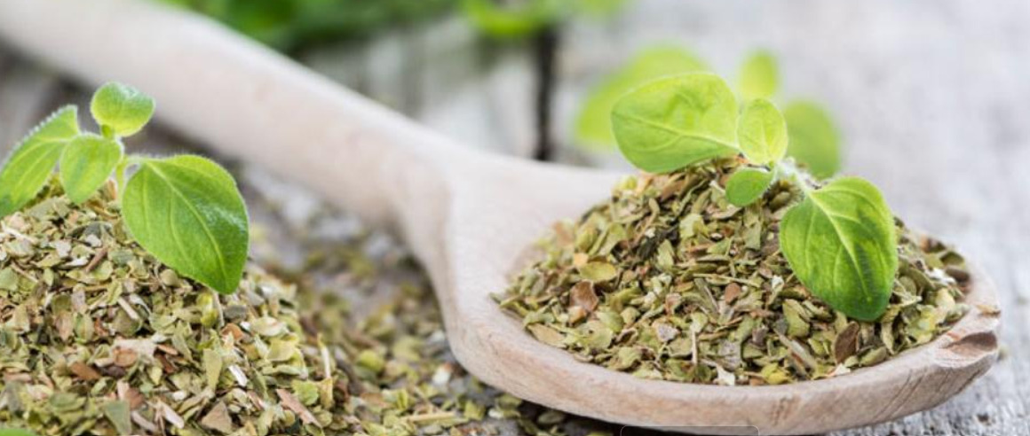 Pročitajte više o članku Ovo je najzdraviji čaj na svijetu: Pomaže kod kašlja, prehlada, artritisa, infekcija…