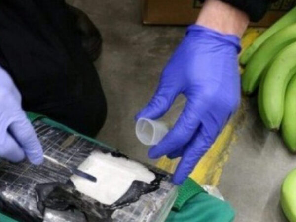 U prodavnici u Pločama među bananama pronađeno 18 kilograma kokaina
