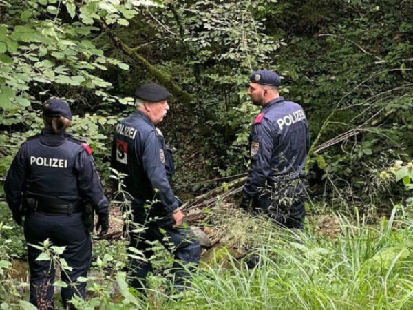 Stravični detalji zločina u Austriji: Bosanku je bivši muž izbo šrafcigerom i ostavio u šumi