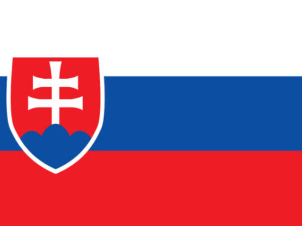 Illustration of Slovakia flag