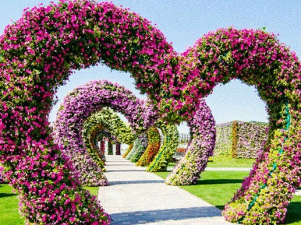 Čudesni vrt Dubai