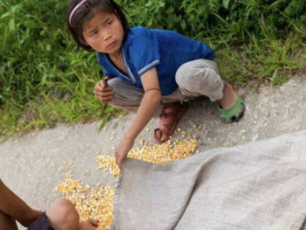 Sjeverna Koreja ove se godine suočava s nedostatkom hrane od oko 860.000 tona,