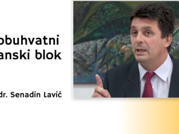 Prof. dr. Senadin Lavić