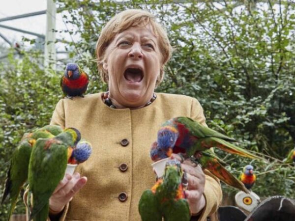 Angelu Merkel ujeo papagaj: Fotografija obišla svijet