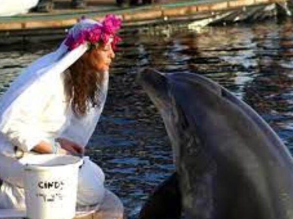 Milionerka u žalosti: Udala se za delfina, pa postala udovica