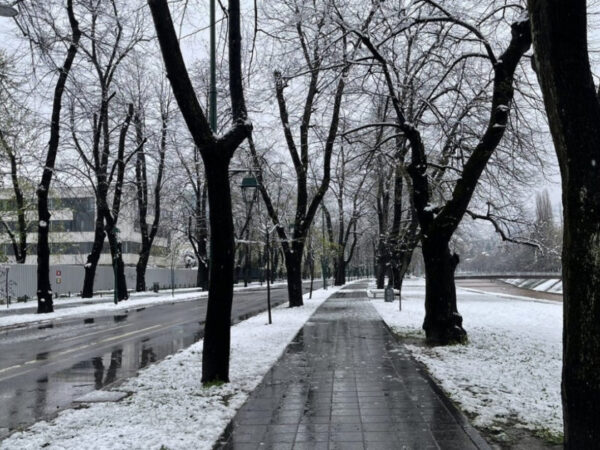 Sarajevo u aprilu: Snijeg pade na behar, na voće