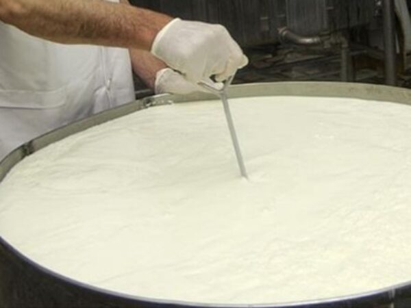 BiH proizvođači mlijeka se raduju ulasku na kinesko tržište