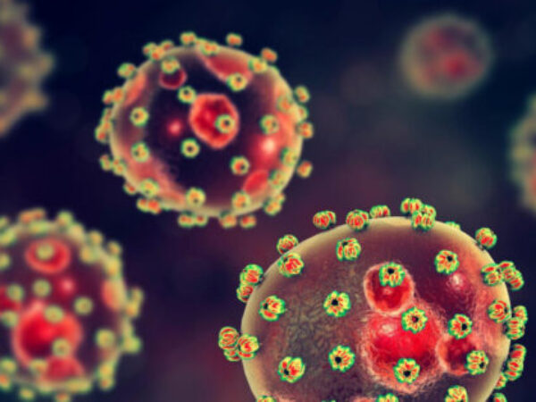 U Velikoj Britaniji umrla osoba zaražena Lassa-virusom
