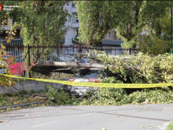 Vjetar obarao stabla u Sarajevu, na parkingu Doma zdravlja Otoka stablo uništilo auto