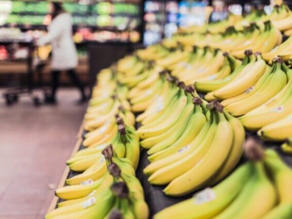 Indija najveći proizvođač banana