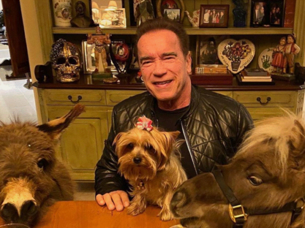 Arnold Schwarzenegger razljutio fanove, evo i zašto