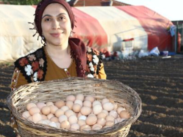 Nastavnica osnovala svoju farmu: Počela sa 10, a sada ima 1.500 kokoški