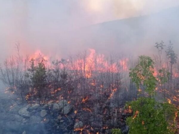 Veoma teška situacija na požarištima kod Trebinja