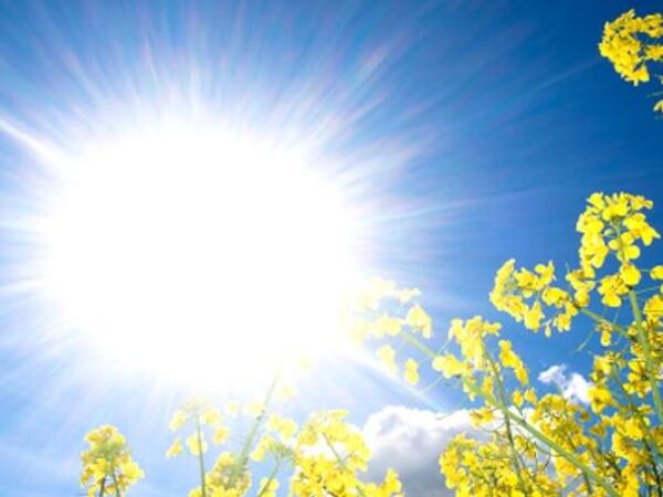Sunčano uz umjeren porast naoblake poslijepodne, dnevna temperatura do 41 stepen