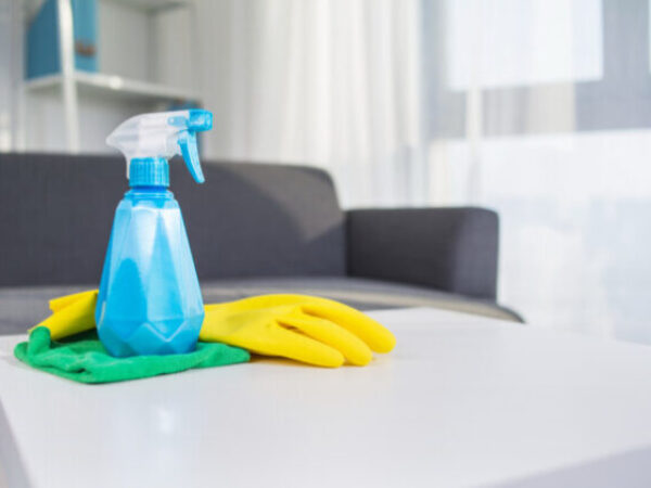 table top house cleaning products : spray, glove